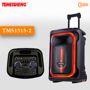 Temeisheng TMS 1515-02