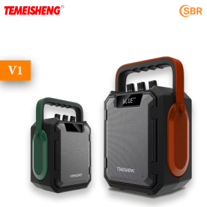 V1 Temeisheng
